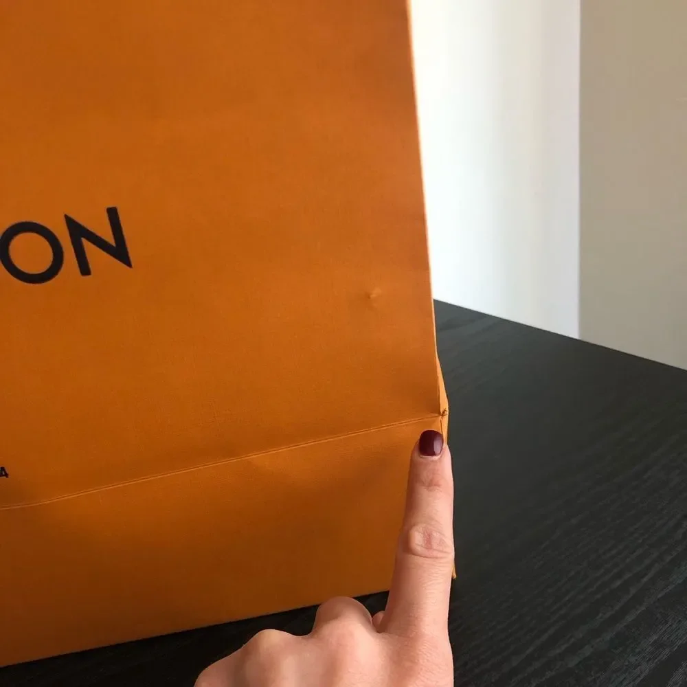 Louis Vuitton shopping bag